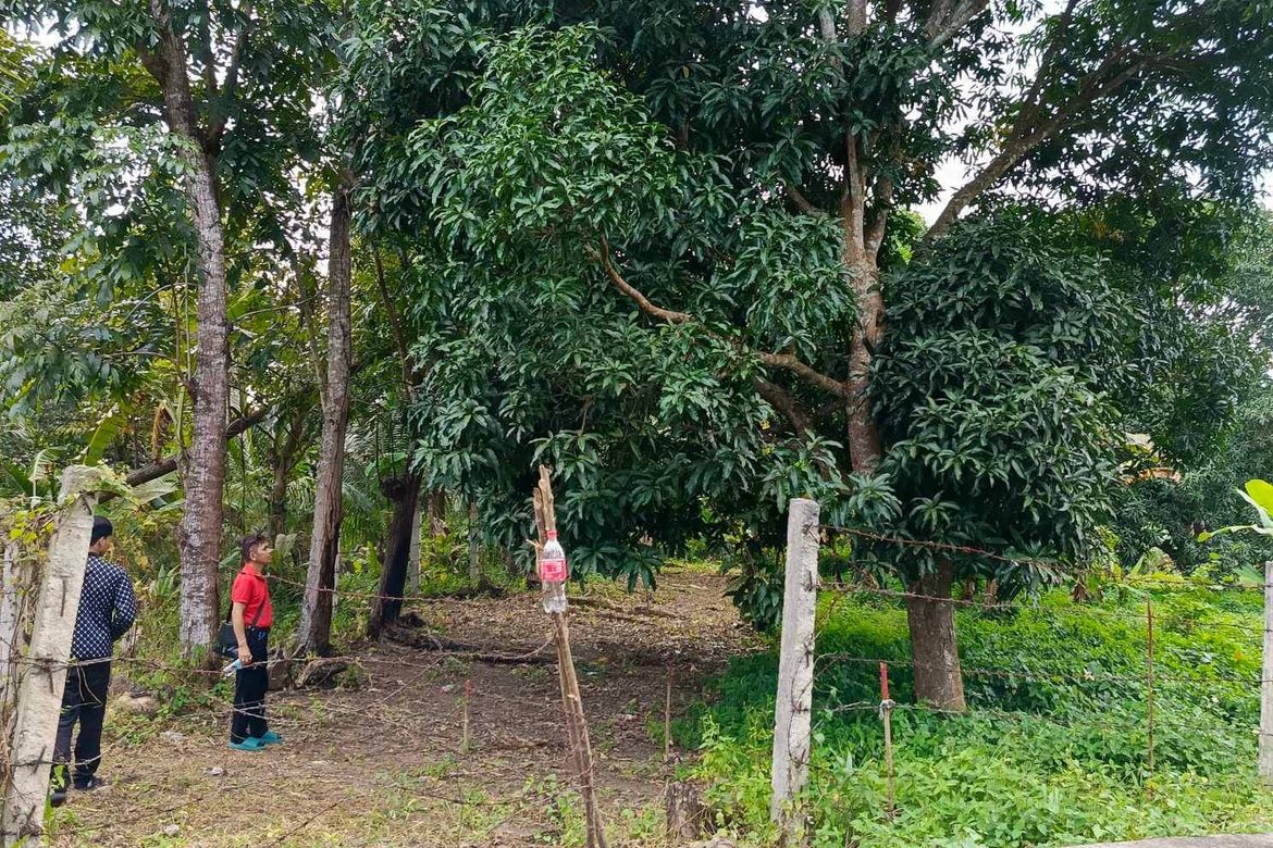 Land for Sale in Panungyanan, General Trias, Cavite – photo 6