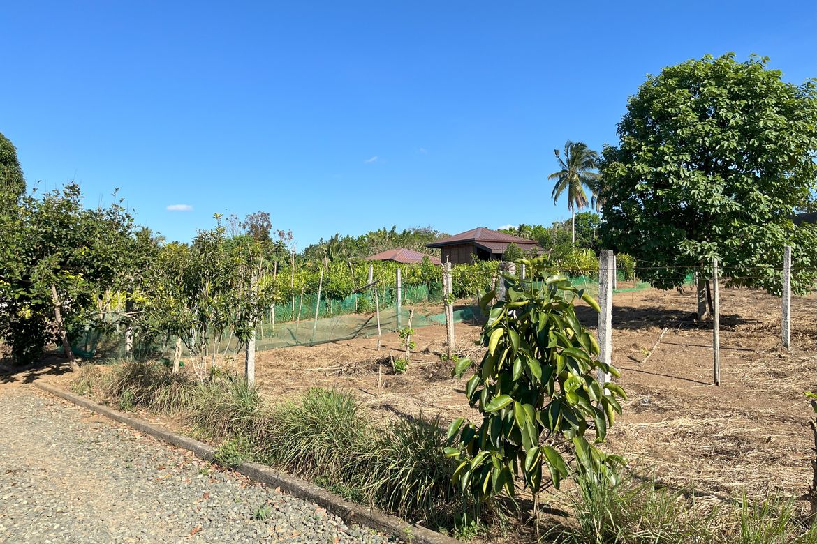 Land for Sale in Panungyanan, General Trias, Cavite