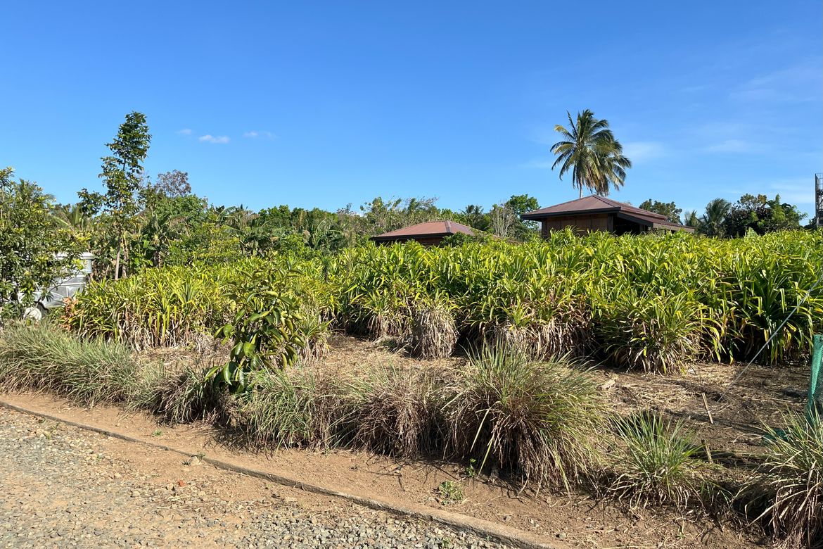Land for Sale in Panungyanan, General Trias, Cavite – photo 2