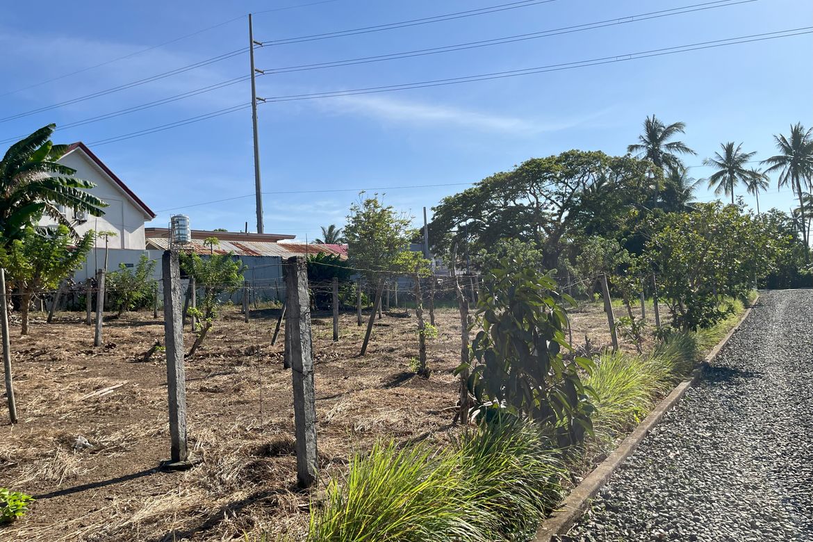 Land for Sale in Panungyanan, General Trias, Cavite – photo 3