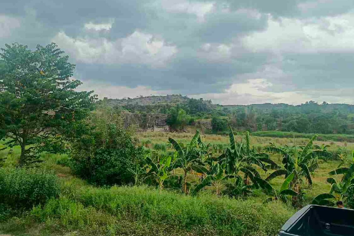 Land for Sale in Pao, San Jose, Tarlac – photo 4