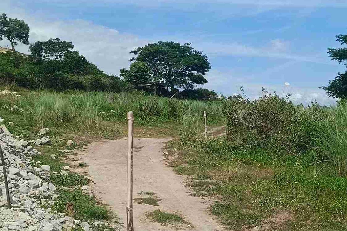 Land for Sale in Pao, San Jose, Tarlac – photo 5
