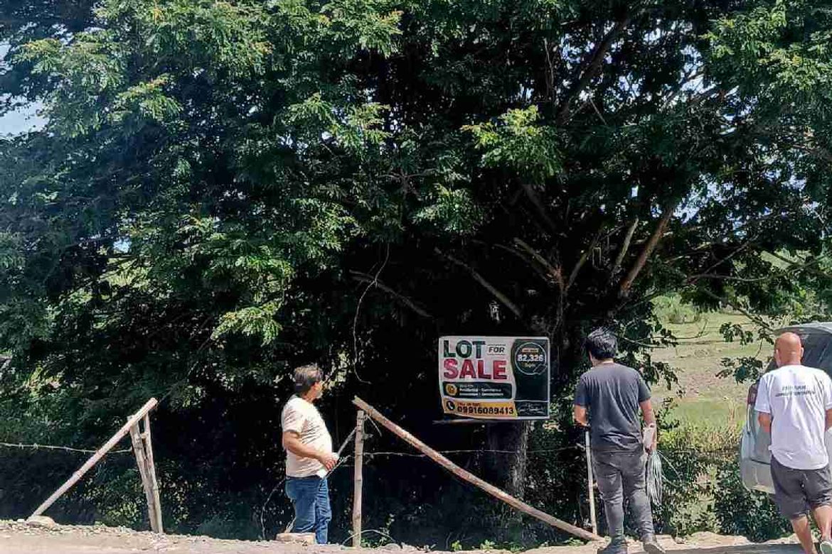 Land for Sale in Pao, San Jose, Tarlac – photo 8