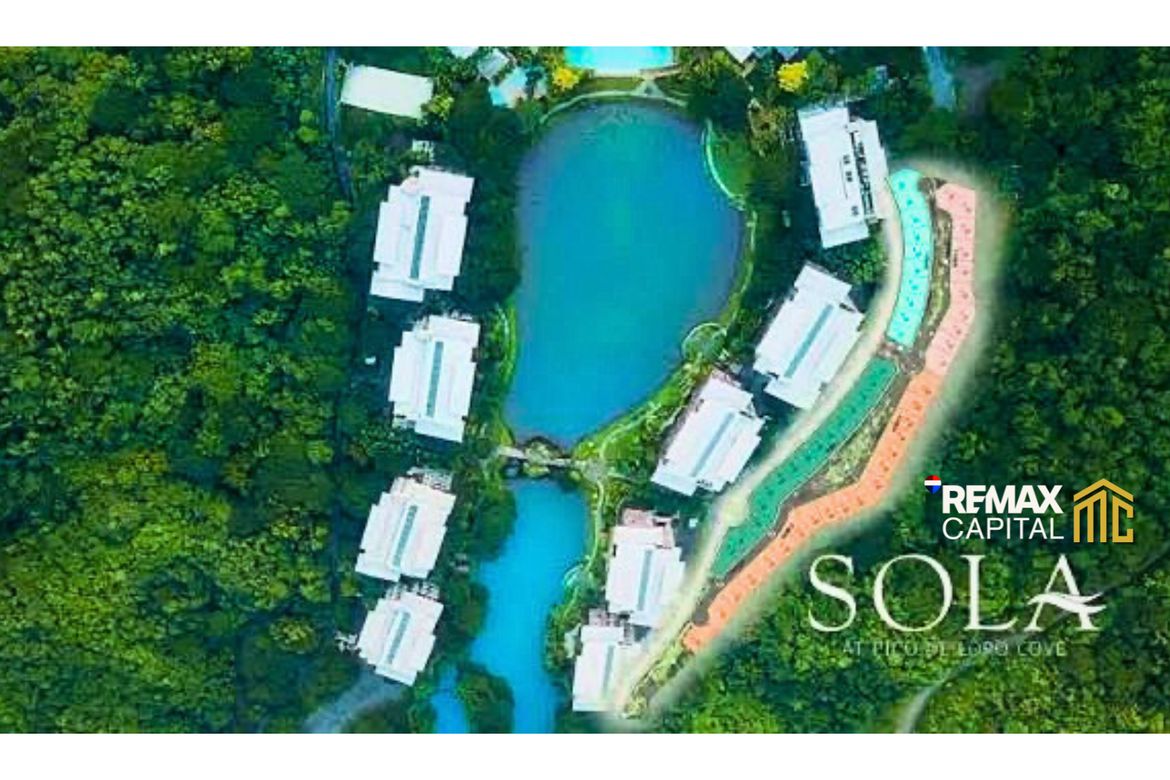 Land for Sale in Papaya, Nasugbu, Batangas – photo 3