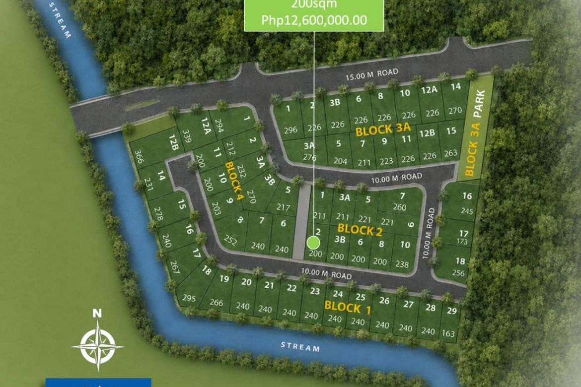 Land for Sale in Paragua Coastown, Kemdeng, San Vicente, Palawan – photo 8