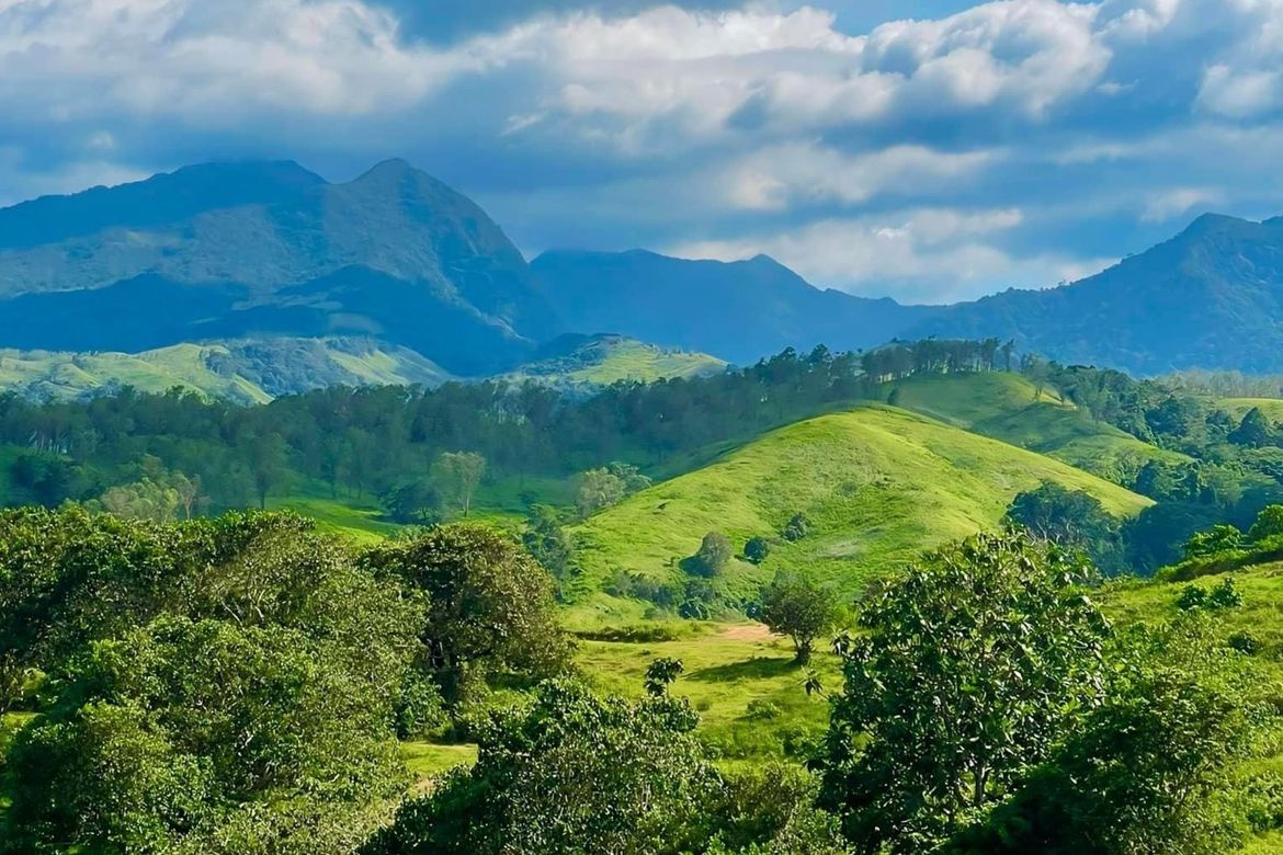 Land for Sale in Parang, Bagac, Bataan