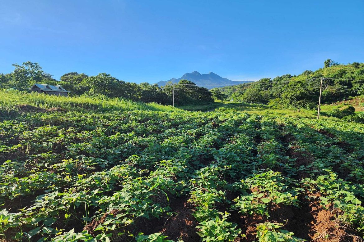 Land for Sale in Parang, Bagac, Bataan – photo 5