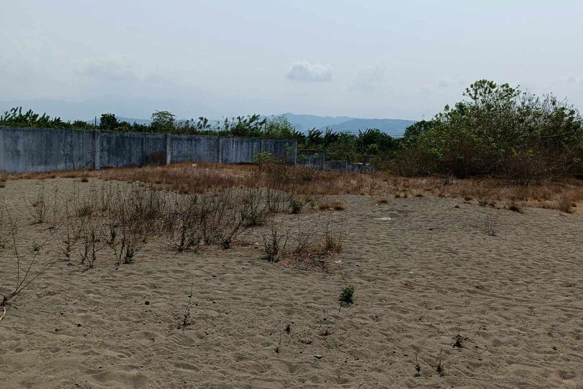 Land for Sale in Paratong No. 4, Bangar, La Union – photo 4