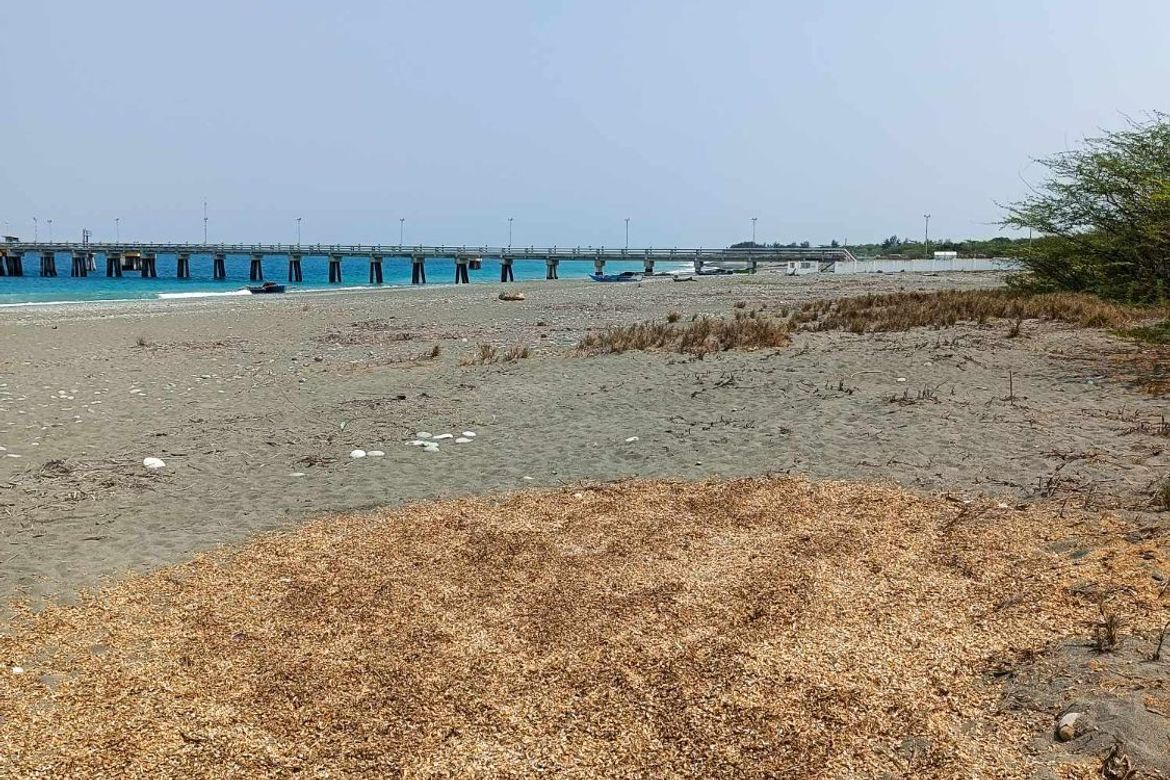 Land for Sale in Paratong No. 4, Bangar, La Union – photo 5