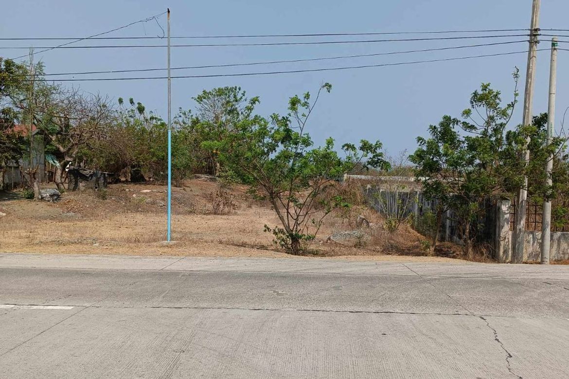 Land for Sale in Paratong No. 4, Bangar, La Union – photo 6