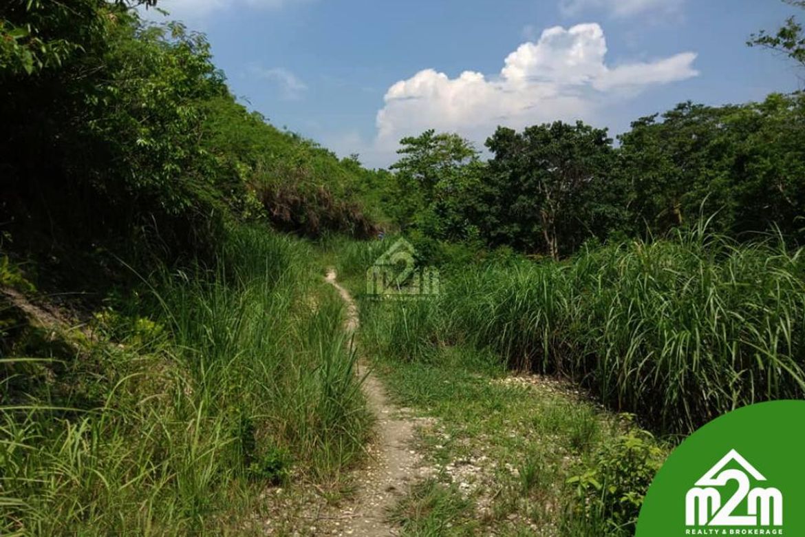 Land for Sale in Pardo, Cebu City, Cebu – photo 2