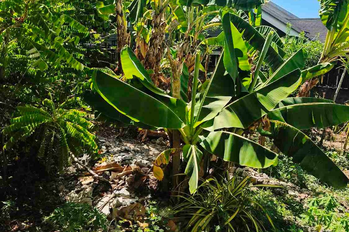 Land for Sale in Pardo, Cebu City, Cebu – photo 4