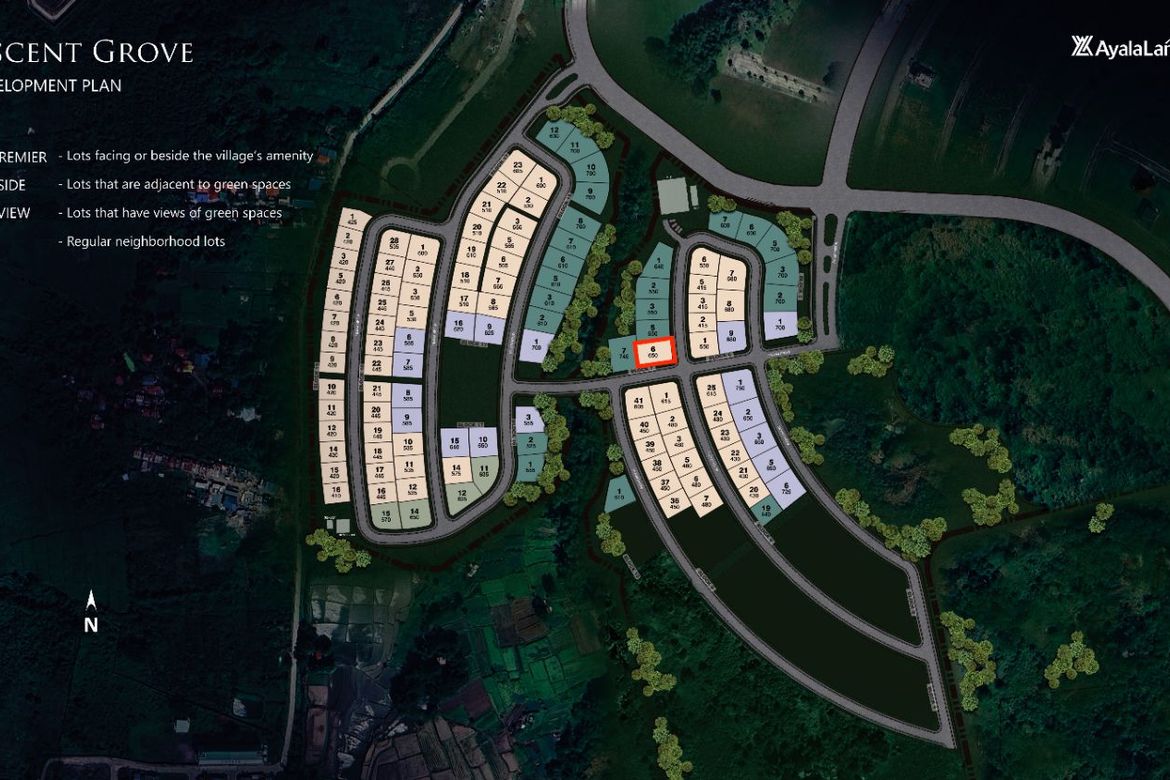 Land for Sale in Pasong Buaya I, Imus, Cavite – photo 6