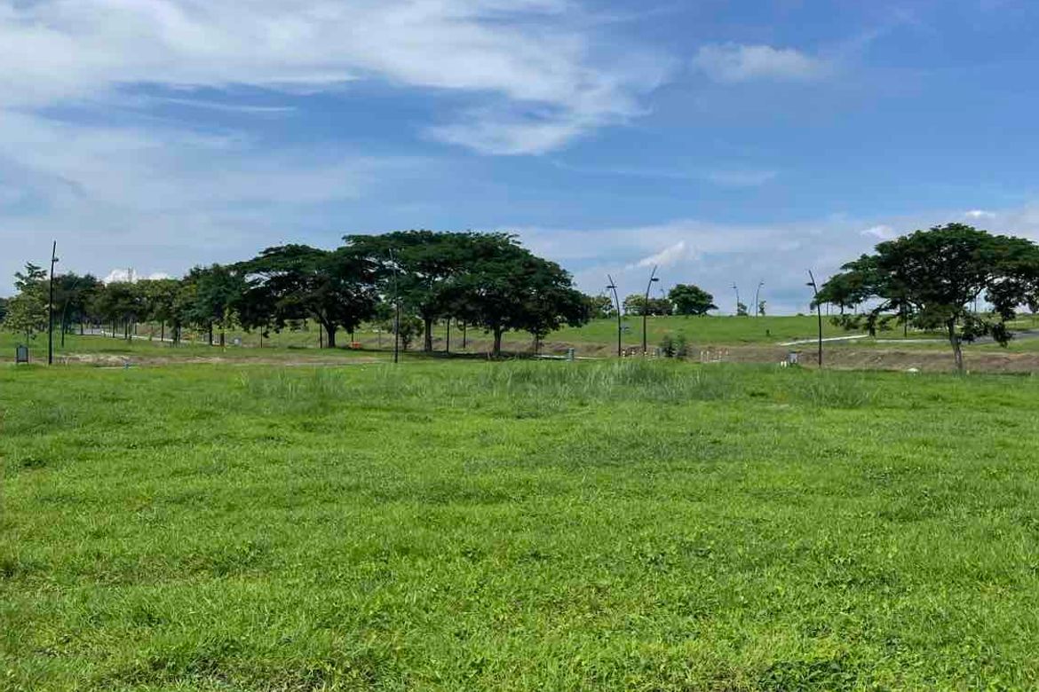Land for Sale in Pasong Buaya I, Imus, Cavite – photo 6