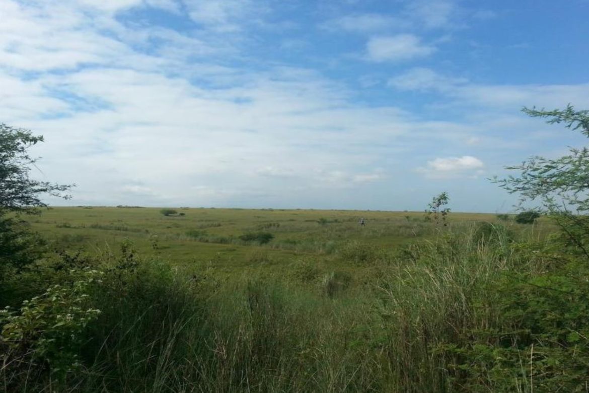 Land for Sale in Pasong Buaya I, Imus, Cavite – photo 2