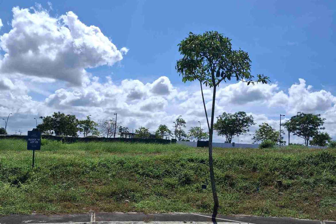 Land for Sale in Pasong Buaya I, Imus, Cavite – photo 6