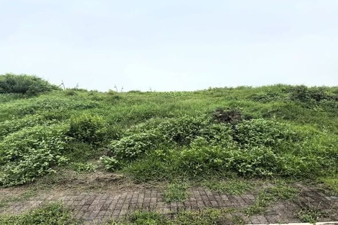 Land for Sale in Pasong Buaya II, Imus, Cavite