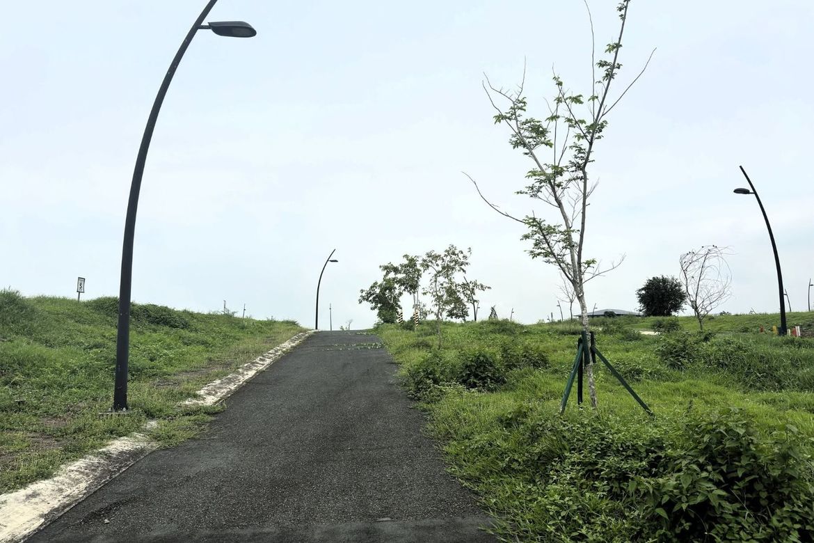 Land for Sale in Pasong Buaya II, Imus, Cavite – photo 2