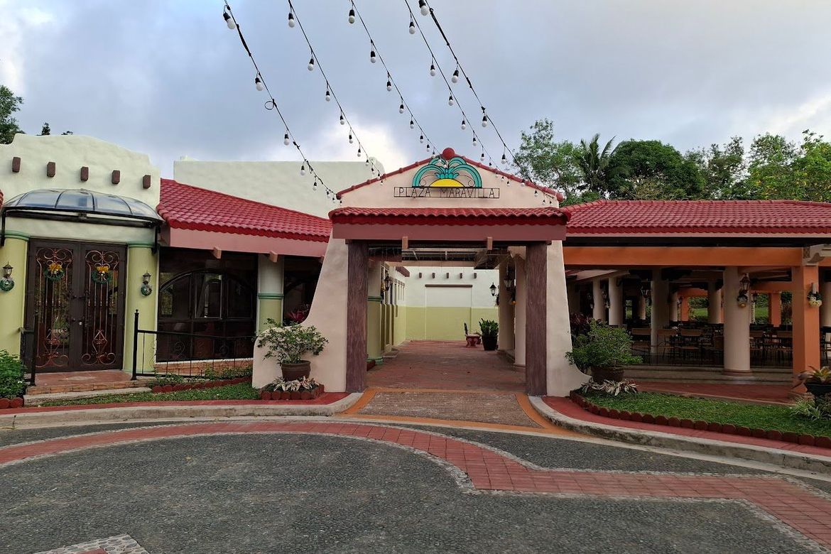 Land for Sale in Pasong Langka, Silang, Cavite – photo 2