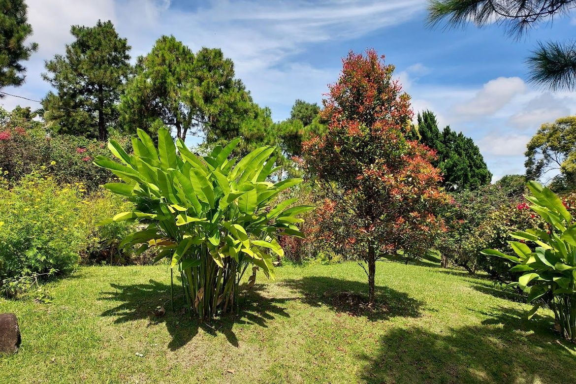 Land for Sale in Pasong Langka, Silang, Cavite – photo 8