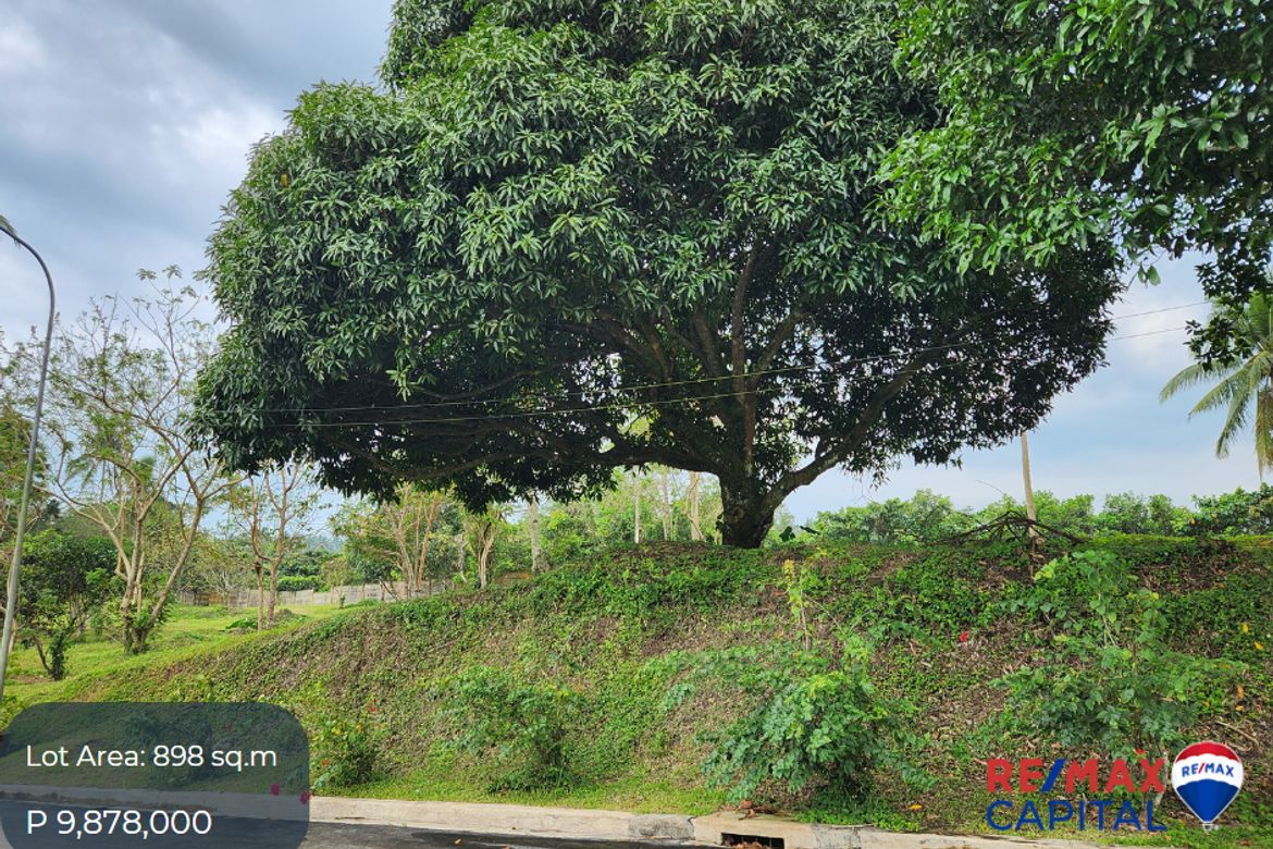 Land for Sale in Pasong Langka, Silang, Cavite – photo 3