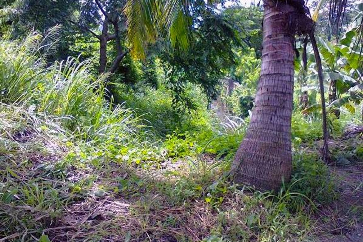 Land for Sale in Pasong Putik Proper, Quezon City, Metro Manila – photo 2
