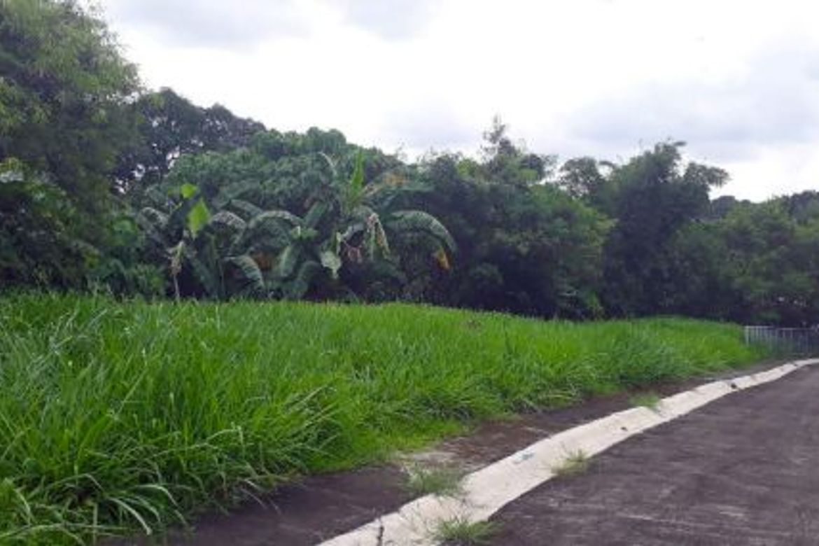 Land for Sale in Pasong Tamo, Quezon City, Metro Manila