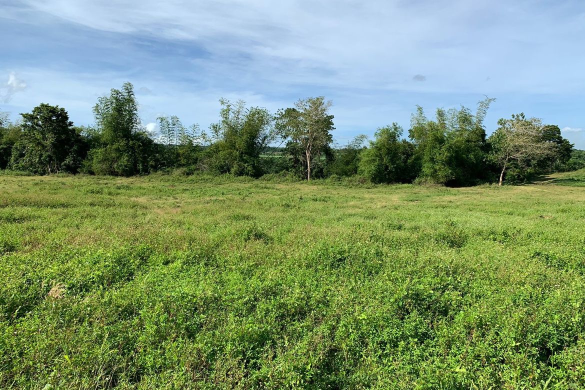 Land for Sale in Patag, Silay, Negros Occidental