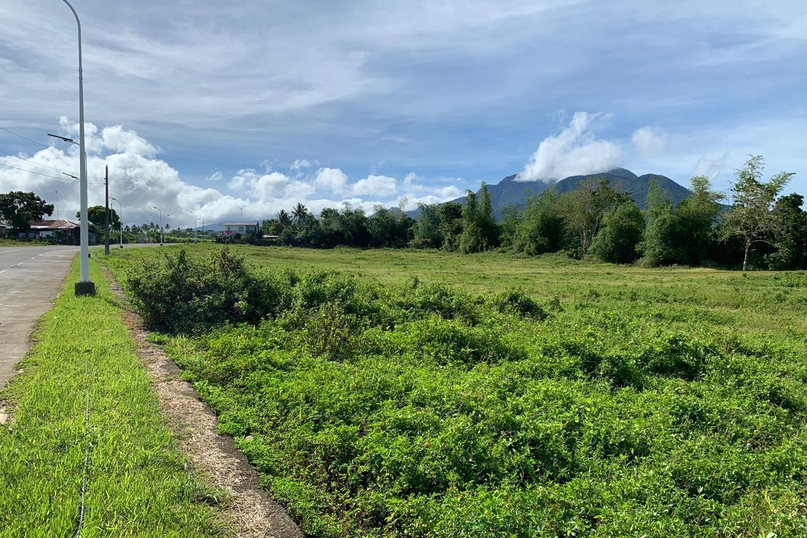 Land for Sale in Patag, Silay, Negros Occidental – photo 4
