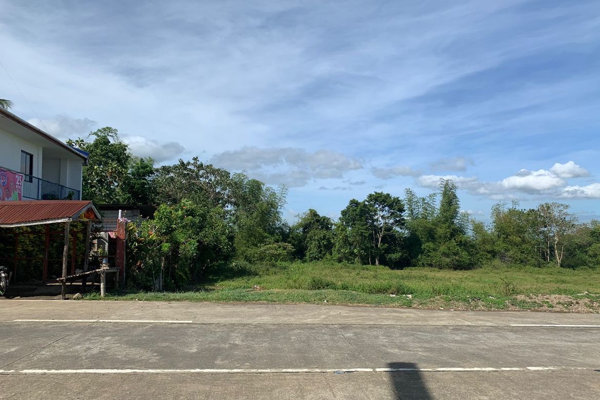 Land for Sale in Patag, Silay, Negros Occidental – photo 5