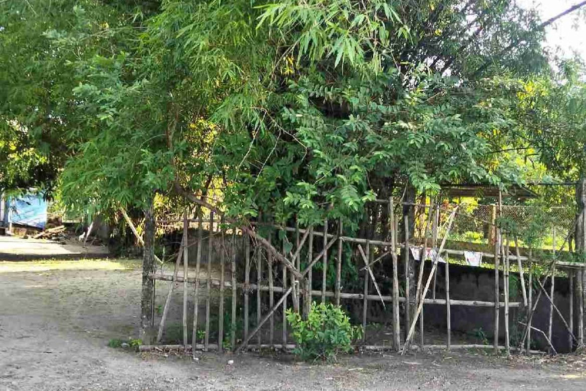 Land for Sale in Patrocinio, San Narciso, Zambales