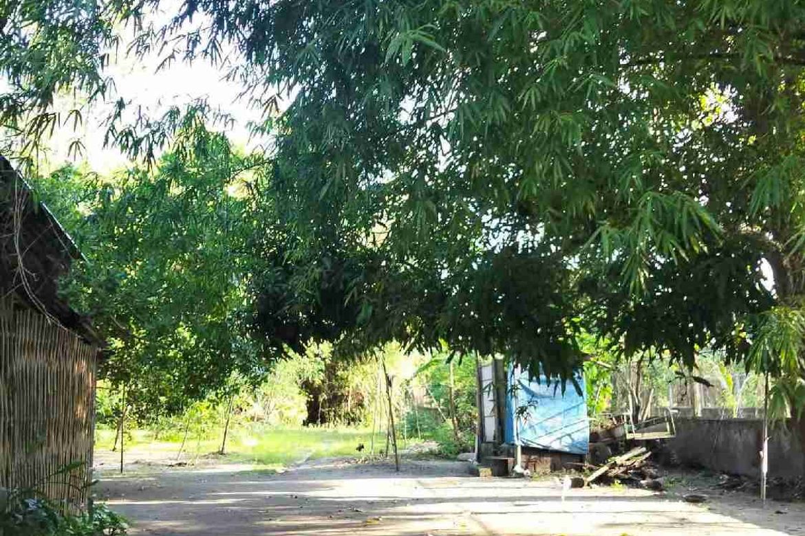 Land for Sale in Patrocinio, San Narciso, Zambales – photo 6