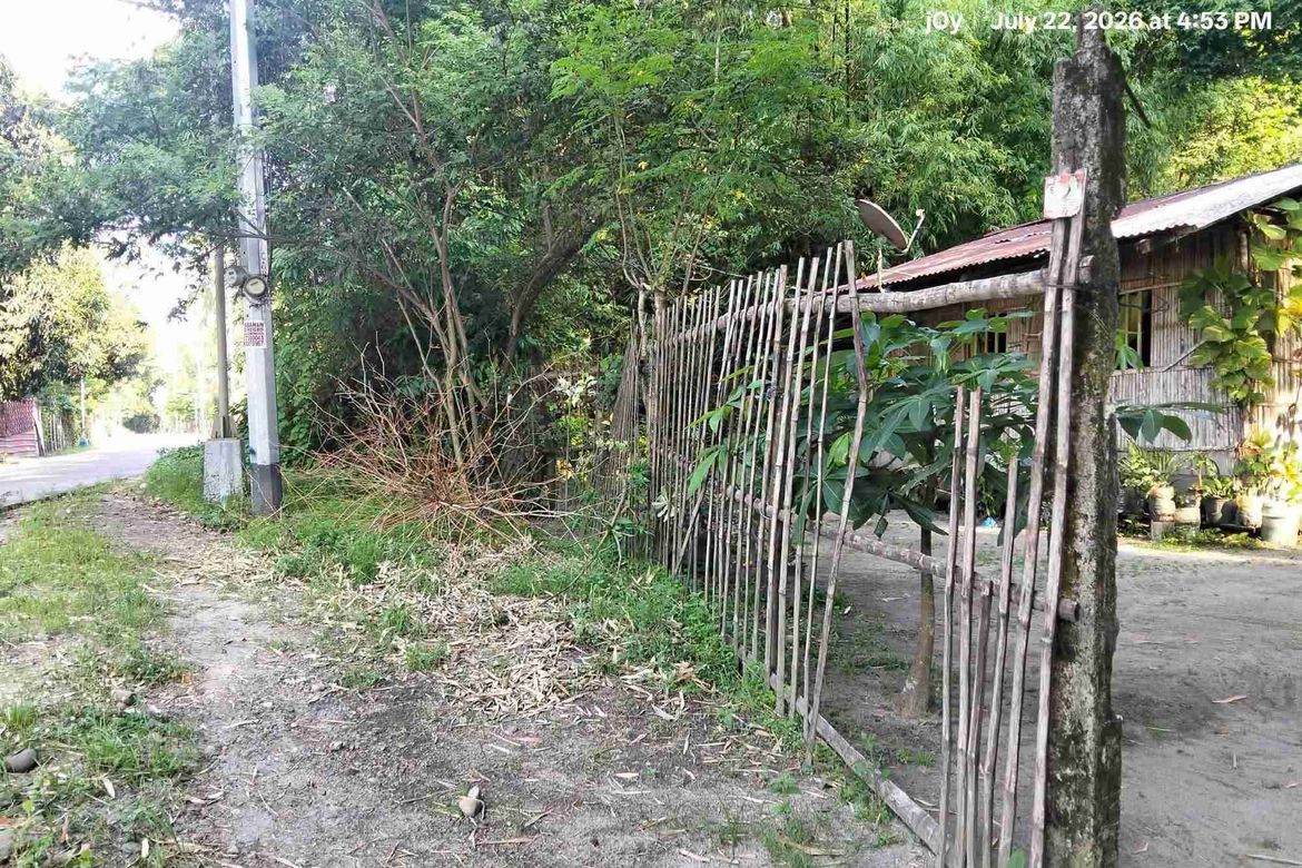 Land for Sale in Patrocinio, San Narciso, Zambales – photo 7