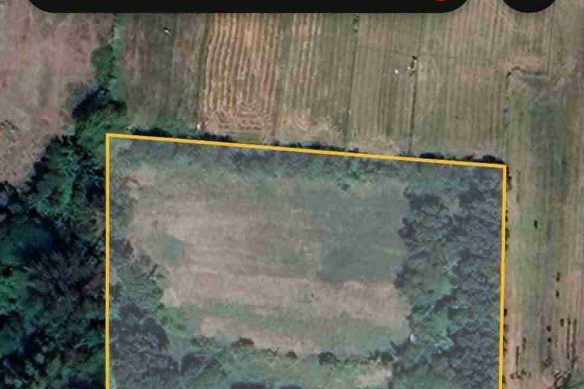 Land for Sale in Patrocinio, San Narciso, Zambales