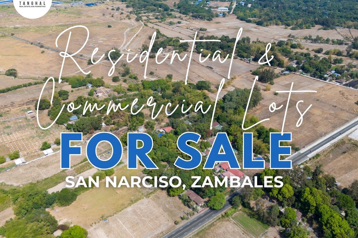 Land for Sale in Patrocinio, San Narciso, Zambales