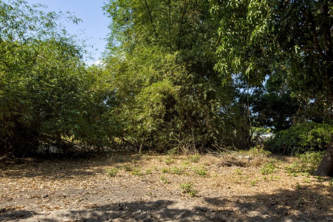 Land for Sale in Patrocinio, San Narciso, Zambales – photo 6