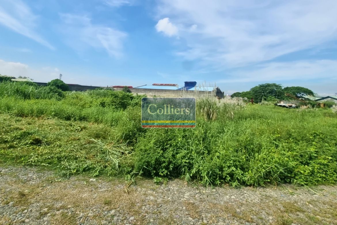 Land for Sale in Patubig, Marilao, Bulacan – photo 2