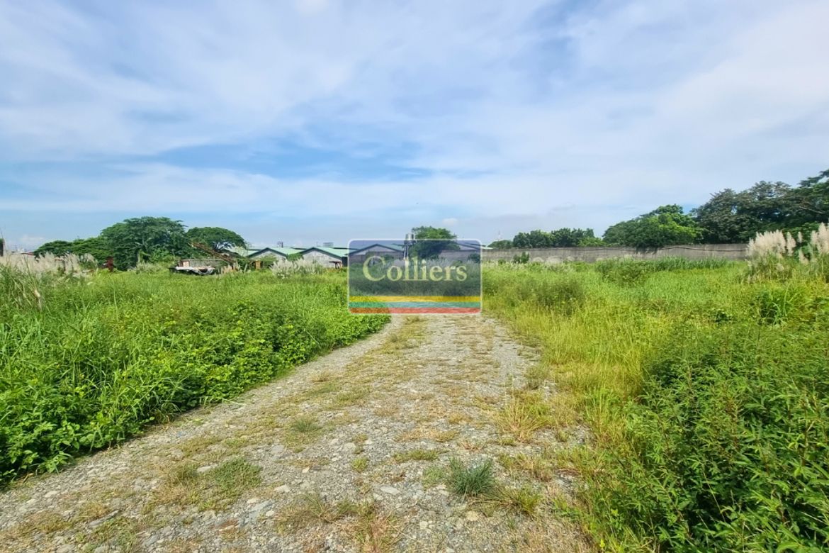 Land for Sale in Patubig, Marilao, Bulacan – photo 4