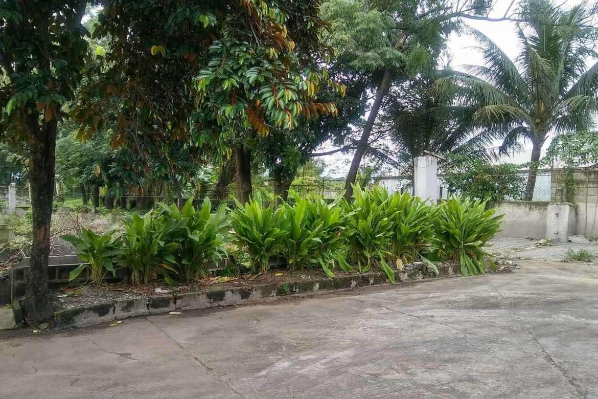 Land for Sale in Patubig, Marilao, Bulacan – photo 6
