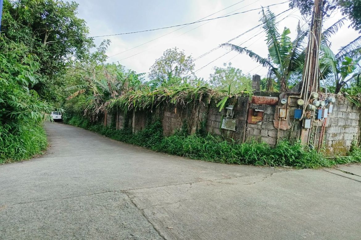 Land for Sale in Patutong Malaki North, Tagaytay, Cavite – photo 2