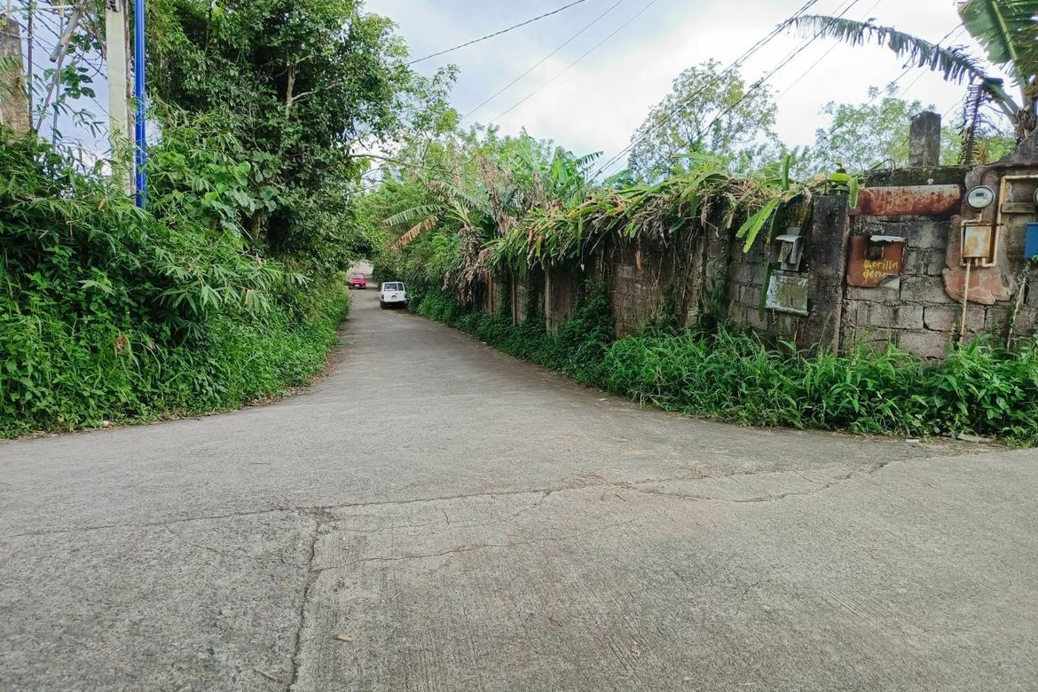 Land for Sale in Patutong Malaki North, Tagaytay, Cavite – photo 6