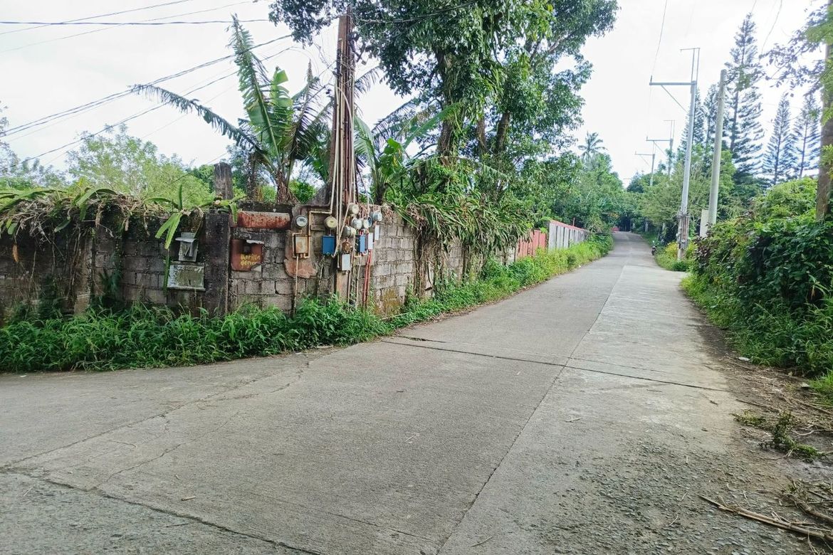 Land for Sale in Patutong Malaki North, Tagaytay, Cavite – photo 7