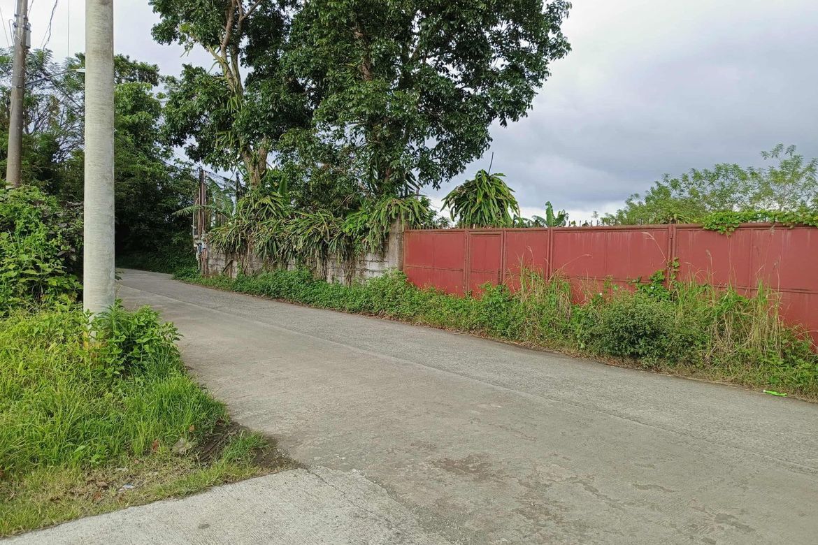 Land for Sale in Patutong Malaki North, Tagaytay, Cavite – photo 2