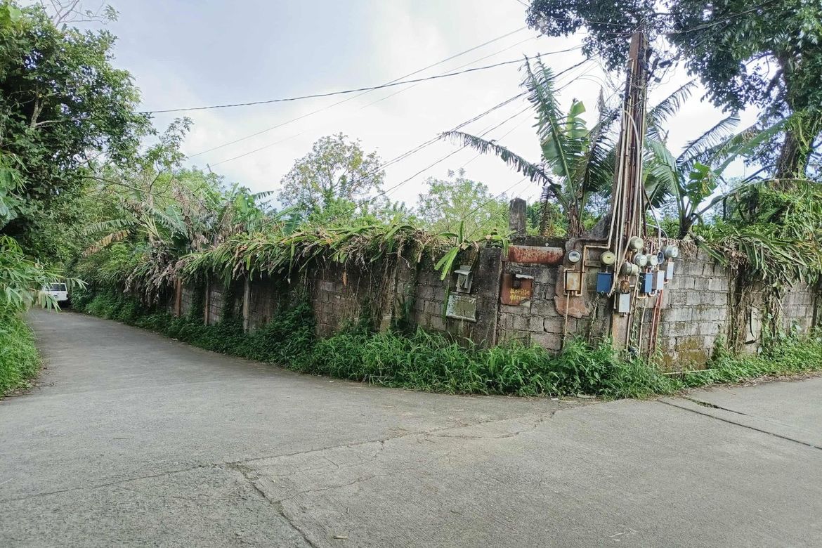 Land for Sale in Patutong Malaki North, Tagaytay, Cavite – photo 4