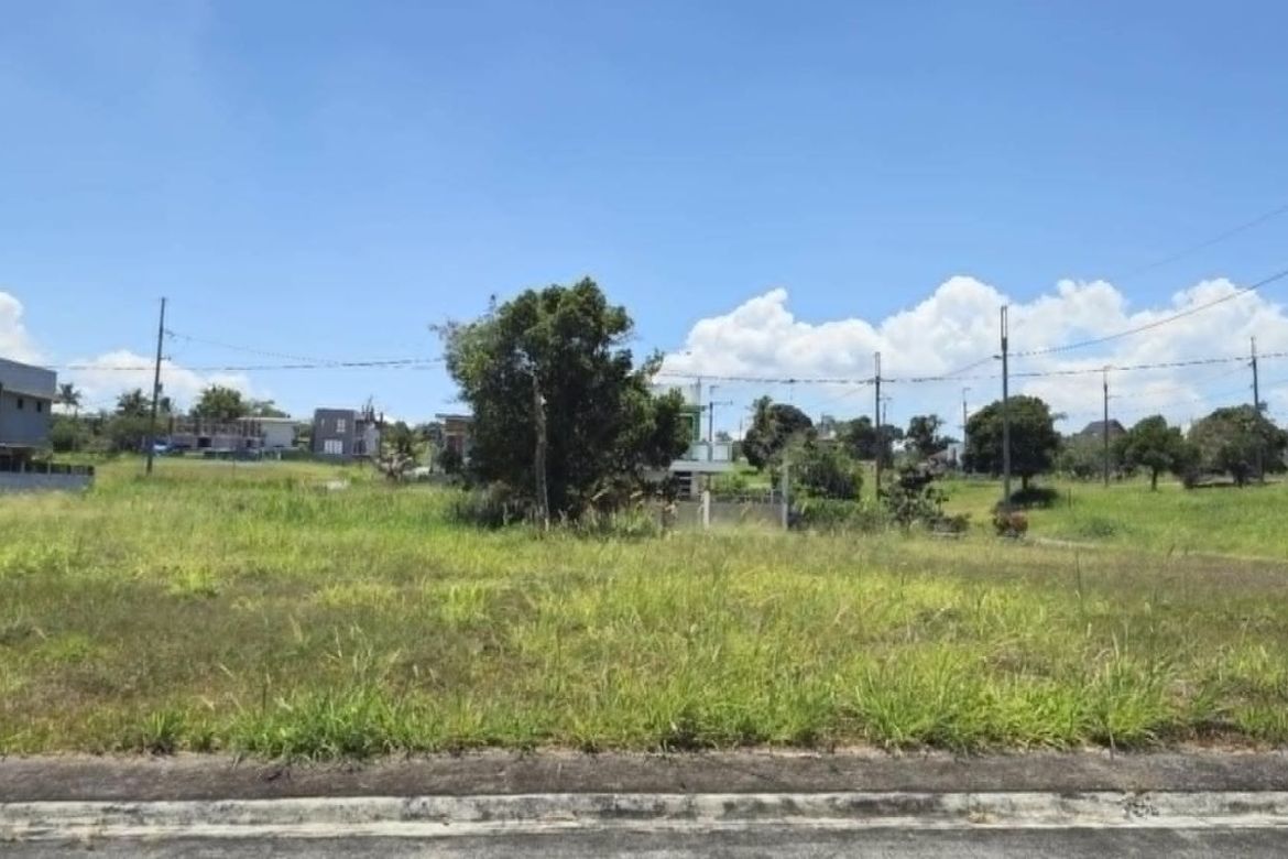 Land for Sale in Patutong Malaki North, Tagaytay, Cavite – photo 2