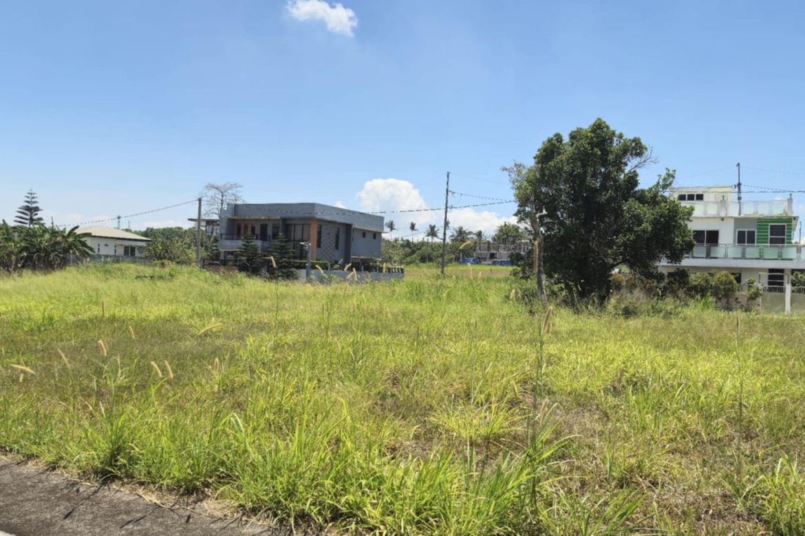 Land for Sale in Patutong Malaki North, Tagaytay, Cavite – photo 3