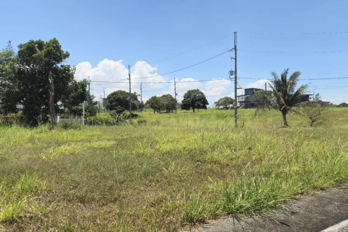 Land for Sale in Patutong Malaki North, Tagaytay, Cavite – photo 4