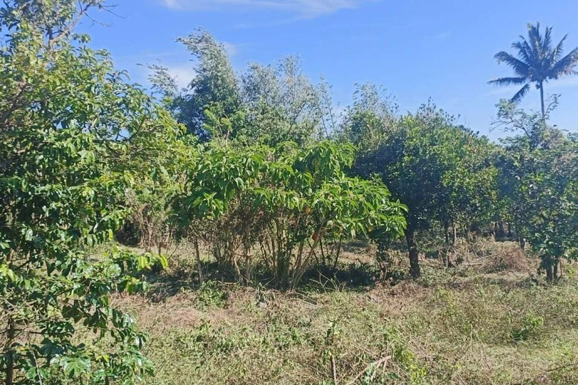 Land for Sale in Patutong Malaki North, Tagaytay, Cavite – photo 2