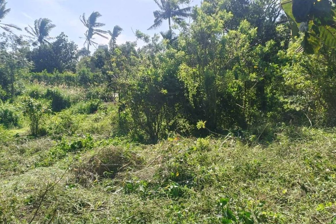Land for Sale in Patutong Malaki North, Tagaytay, Cavite – photo 3