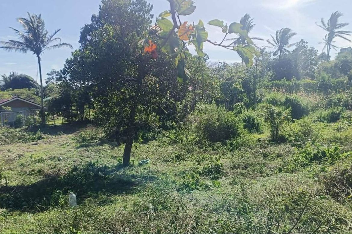Land for Sale in Patutong Malaki North, Tagaytay, Cavite – photo 4